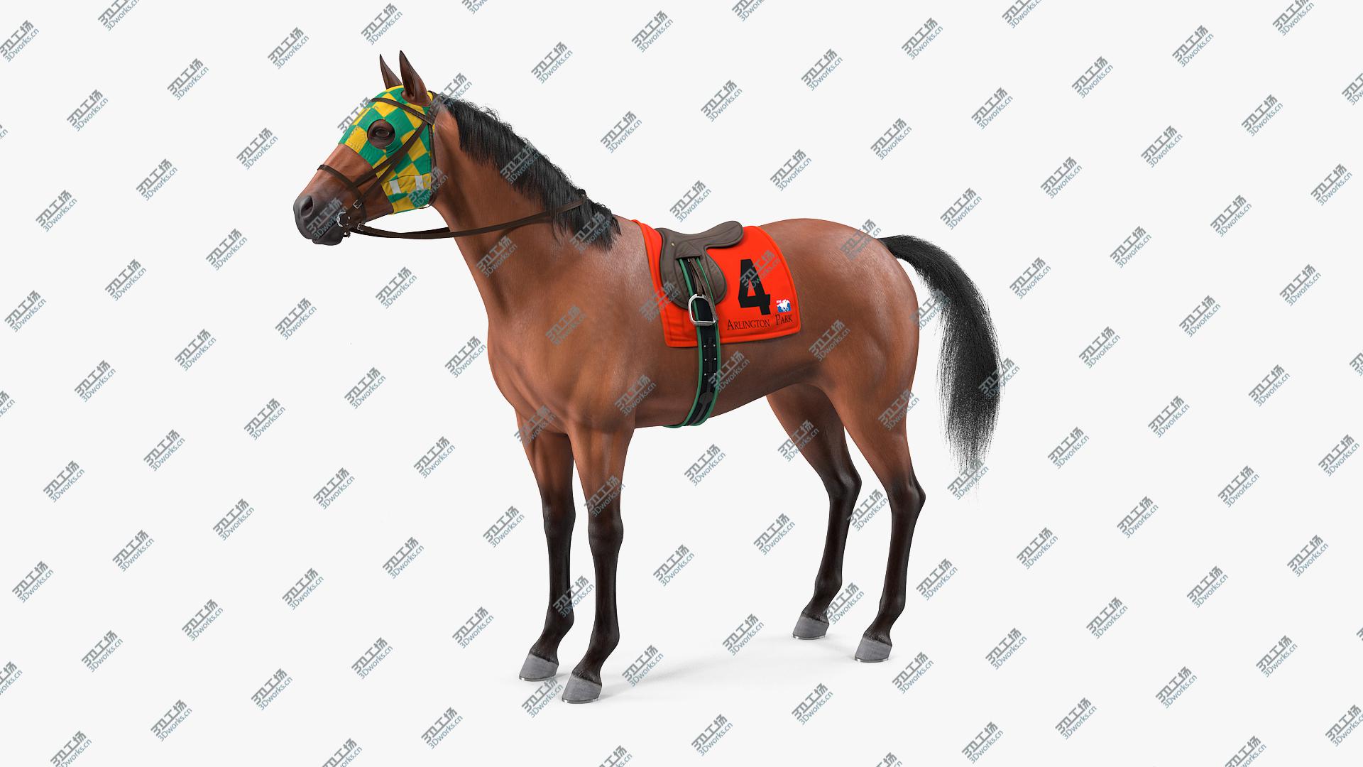 images/goods_img/20210313/3D Bay Racehorse Fur Rigged/3.jpg